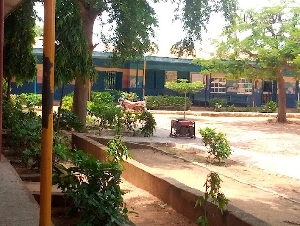 Blue Crescent Schools